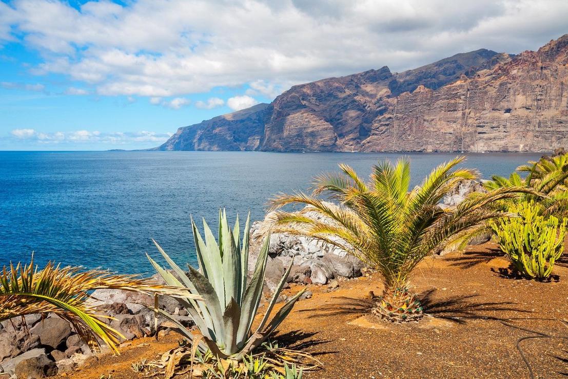 KANÁRSKE OSTROVY: Tenerife Z Viedne S Letenkami Už Od 65€