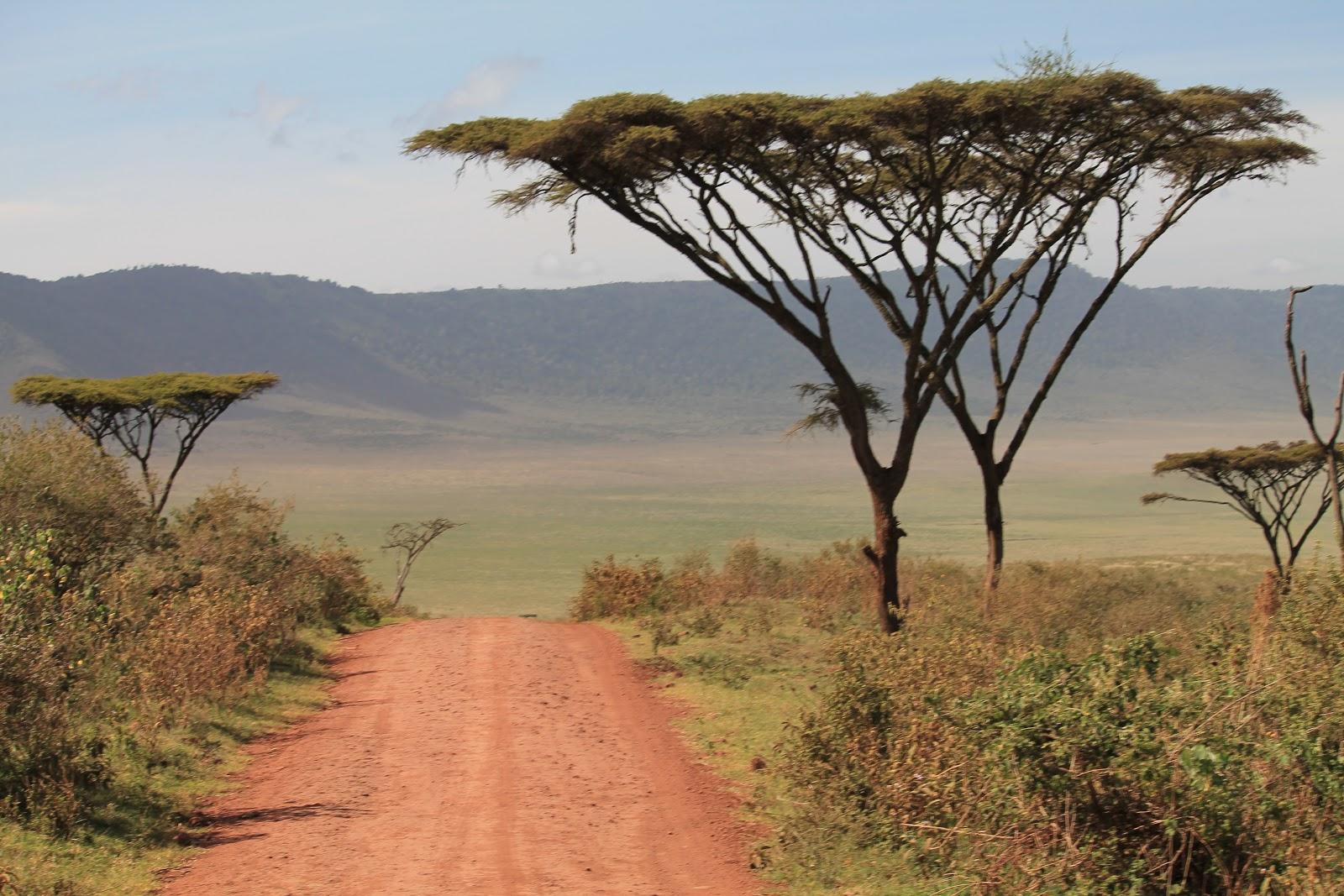 Cesta do krátera Ngorongoro